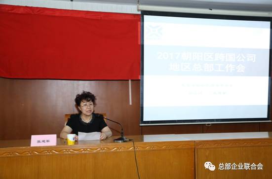 2017朝阳区跨国公司地区总部工作会成功召开(图3)